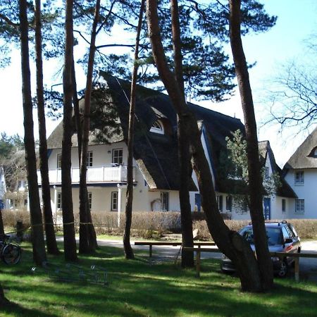Zingst Achtern Diek 12D Elly Екстер'єр фото