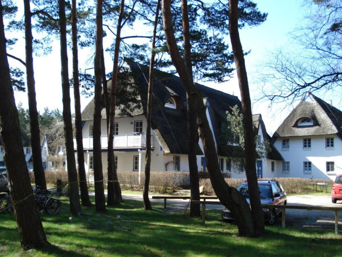 Zingst Achtern Diek 12D Elly Екстер'єр фото
