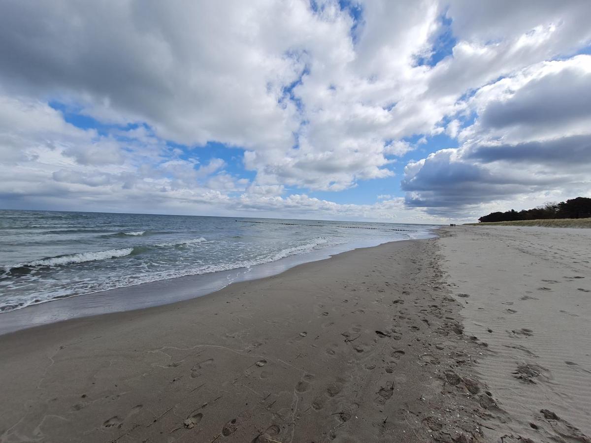Zingst Achtern Diek 12D Elly Екстер'єр фото