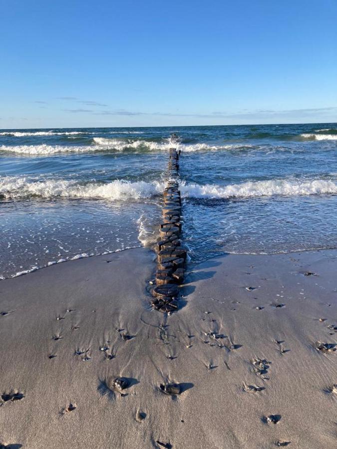 Zingst Achtern Diek 12D Elly Екстер'єр фото