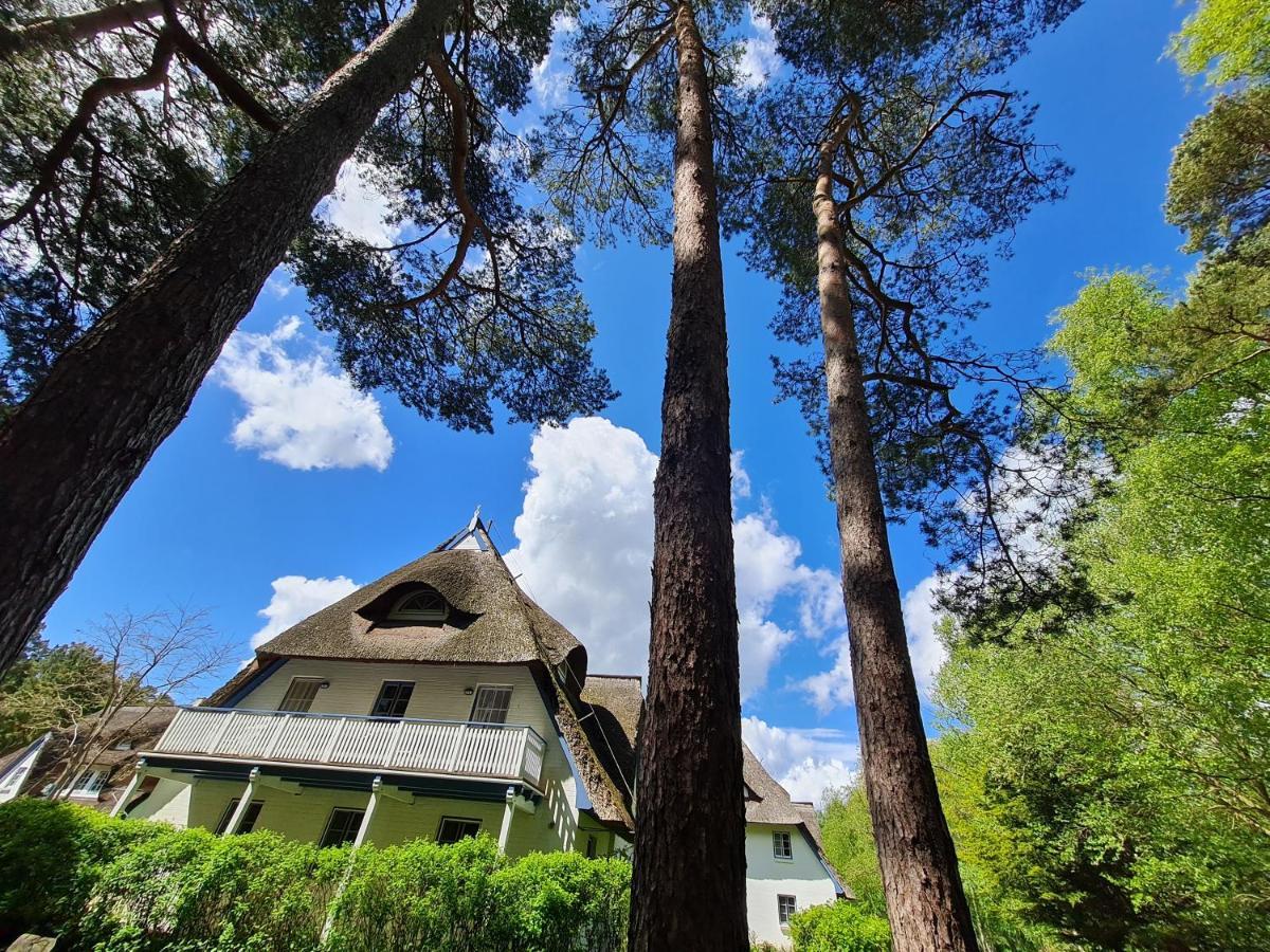 Zingst Achtern Diek 12D Elly Екстер'єр фото